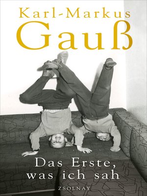 cover image of Das Erste, was ich sah